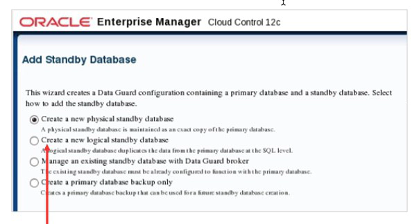 Select “Create a new logical standby database”