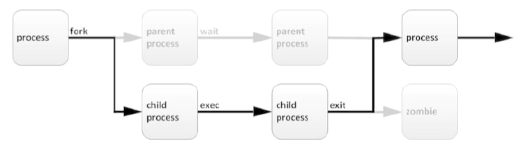 process cycle in Linux - process states