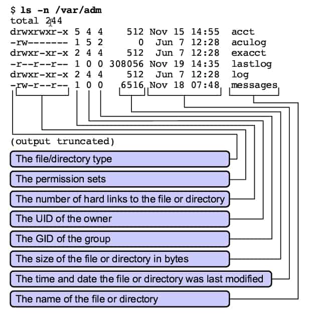 ls -n command fields in Linux