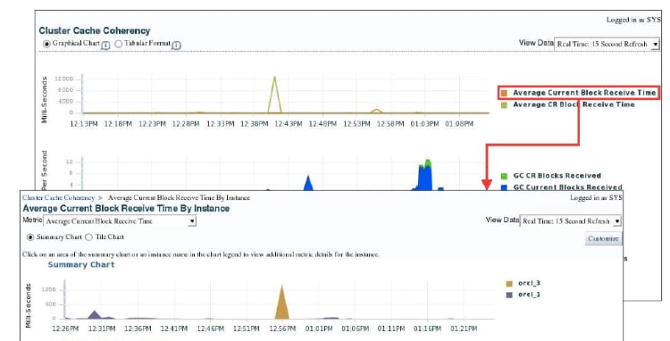 Accessing the Cluster Cache Coherency Page 01