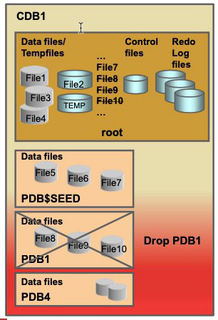 Dropping a PDB from a RAC CDB