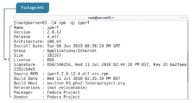 Querying information about a package