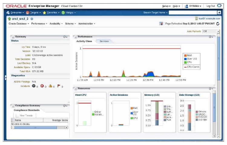 Cluster Database Instance Home Page