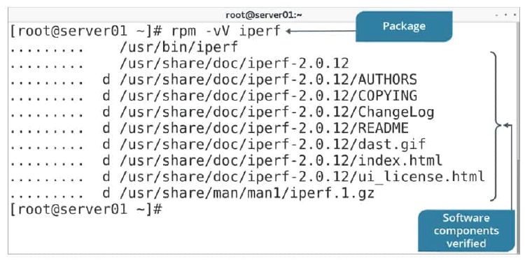 rpm command examples in Linux