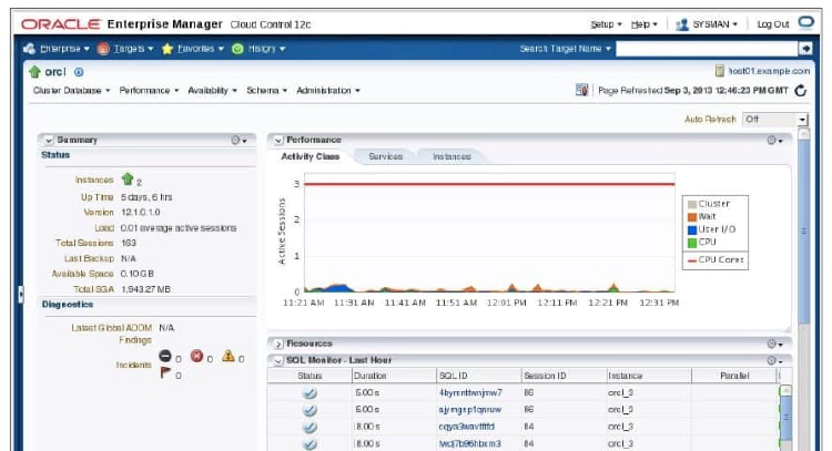 Enterprise Manager Cloud Control Cluster Database Home Page