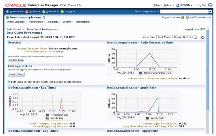 Monitoring Data Guard Performance