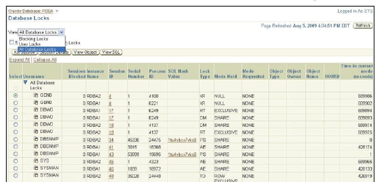 Viewing the Database Locks Page