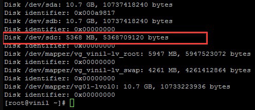 remove stale scsi disk online in linux