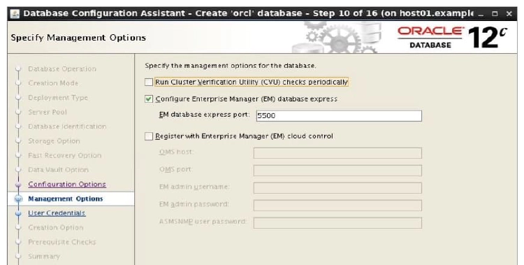 Cluster Database Management Options