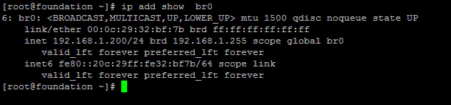 ip add show view network bridge