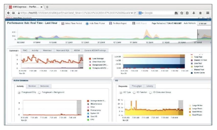 EM Database Express Performance Hub