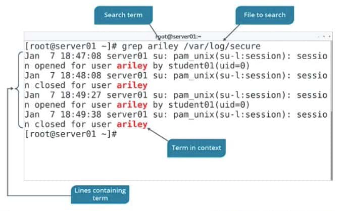 grep command examples in Linux