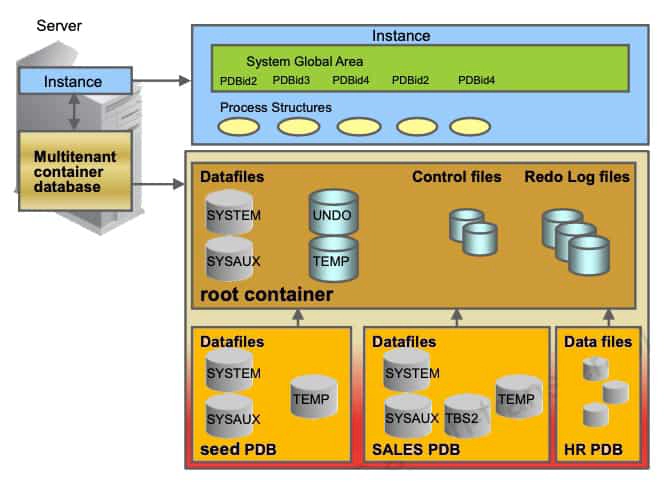 CDB in a Non-RAC Environment