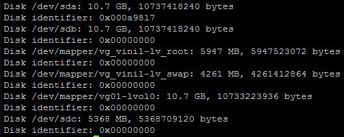 fdisk -l command output