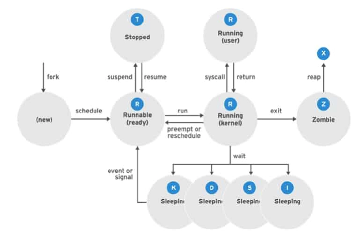 linux process states