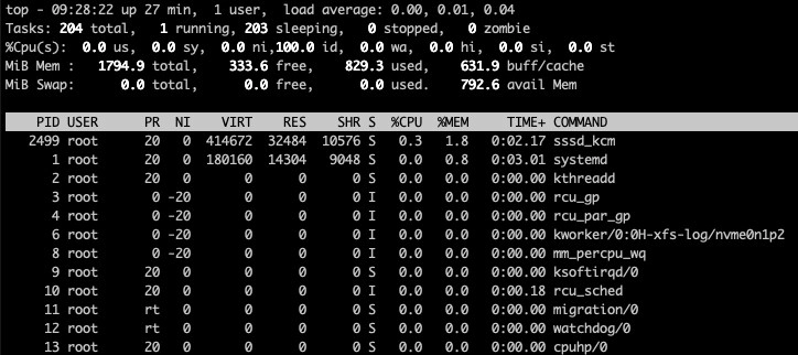 top command in linux