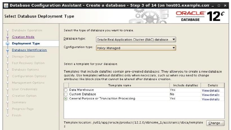 Database Type Selection