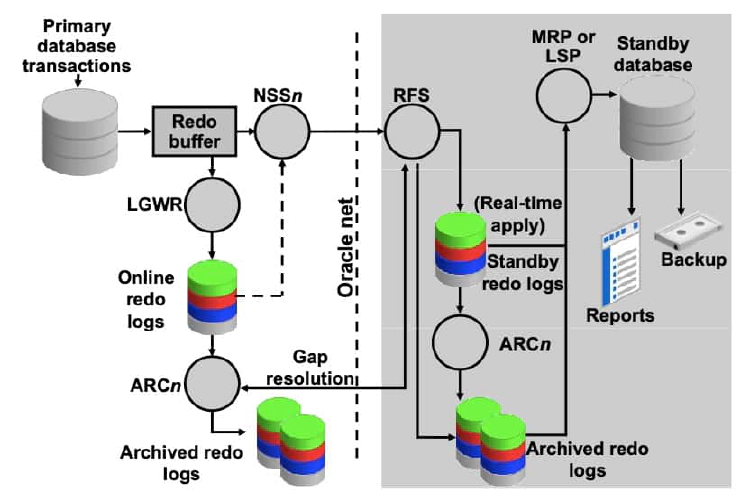 Primary Database Processes