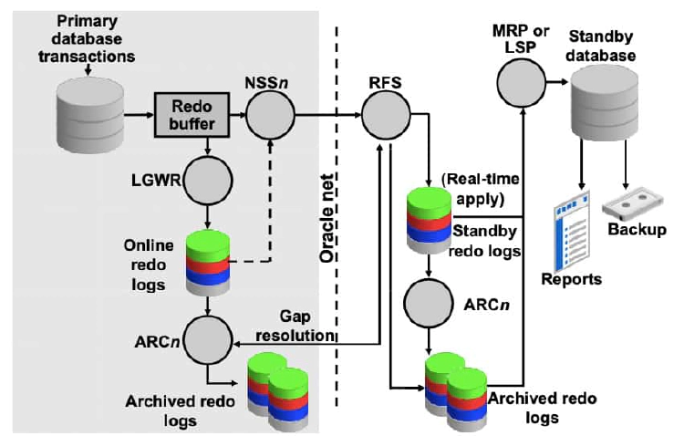 Standby Database Processes